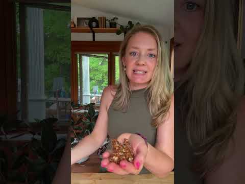 Video review of Artisana Granola from a fan.
