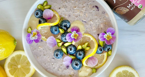 Bowl of Artisana Lemon Blueberry Oats | Vegan, Gluten-Free